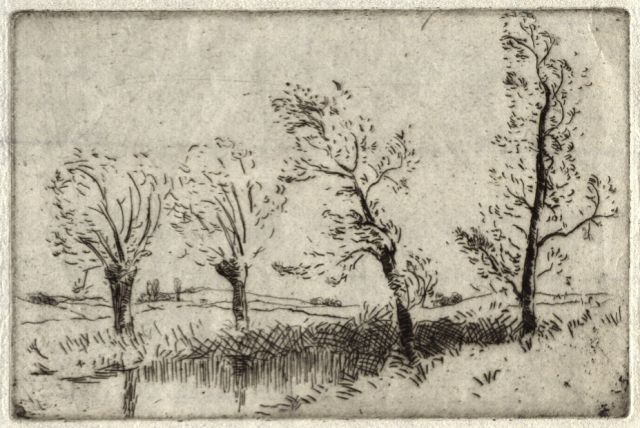 Ref No: 704 Title: Trees