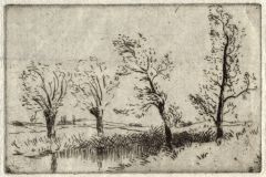 Click here to enlarge this image